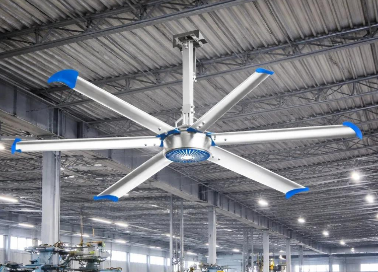 Fan
